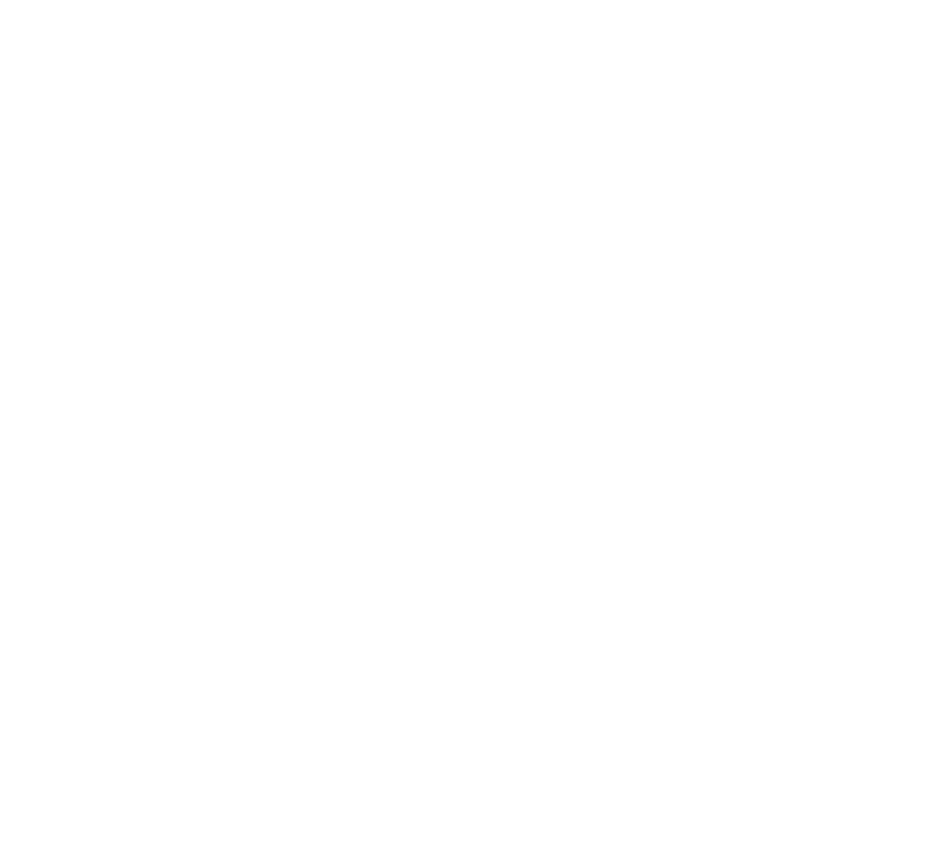 Shinhan Logo